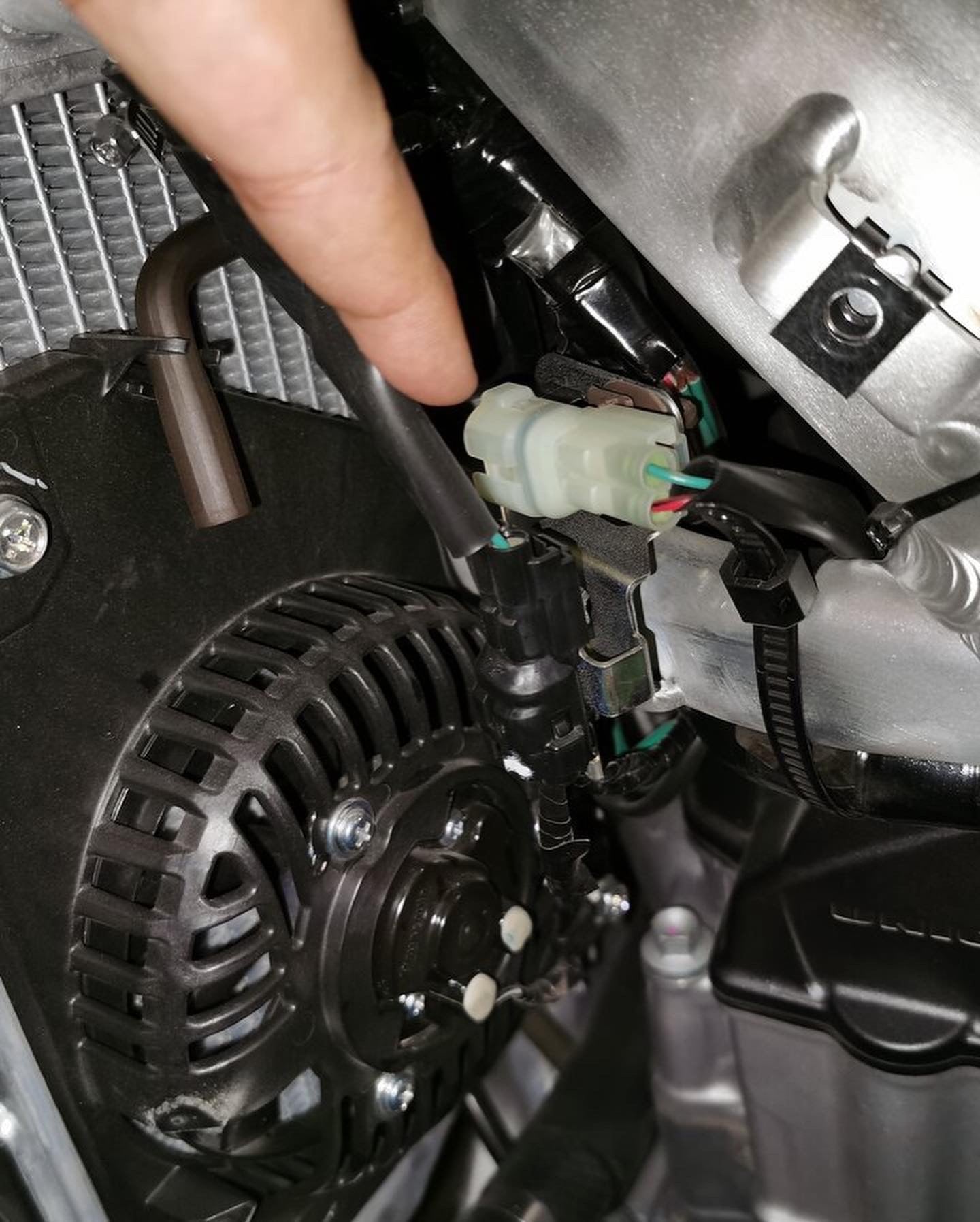 CRF450L/ RL AUX Power Connector - 2 Pin